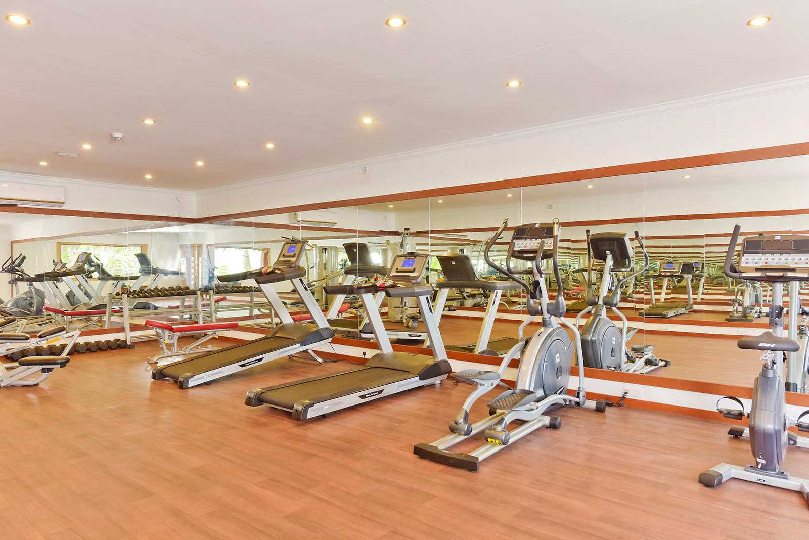 Dreamland_Gym_02